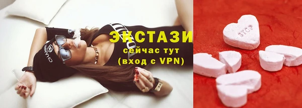 гашик Богородицк