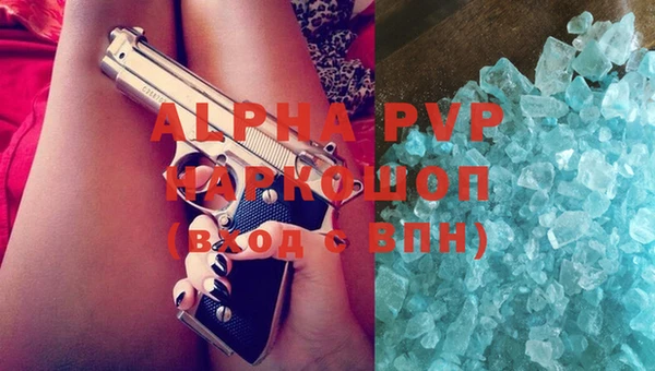 ГАЛЛЮЦИНОГЕННЫЕ ГРИБЫ Богданович
