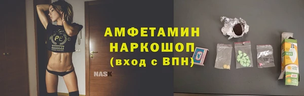 ГАЛЛЮЦИНОГЕННЫЕ ГРИБЫ Богданович