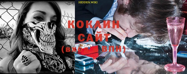 ГАЛЛЮЦИНОГЕННЫЕ ГРИБЫ Богданович
