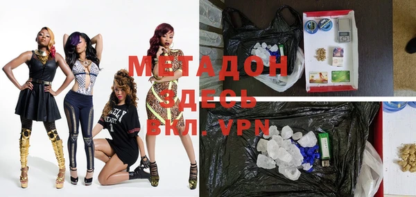 ГАЛЛЮЦИНОГЕННЫЕ ГРИБЫ Богданович
