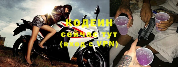 ГАЛЛЮЦИНОГЕННЫЕ ГРИБЫ Богданович