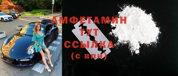 ГАЛЛЮЦИНОГЕННЫЕ ГРИБЫ Богданович