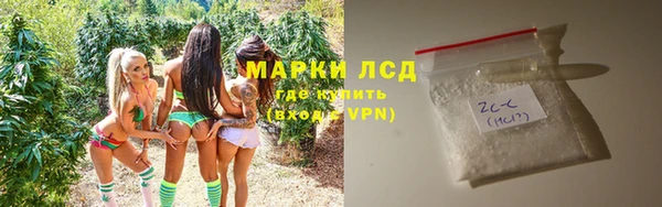 ГАЛЛЮЦИНОГЕННЫЕ ГРИБЫ Богданович