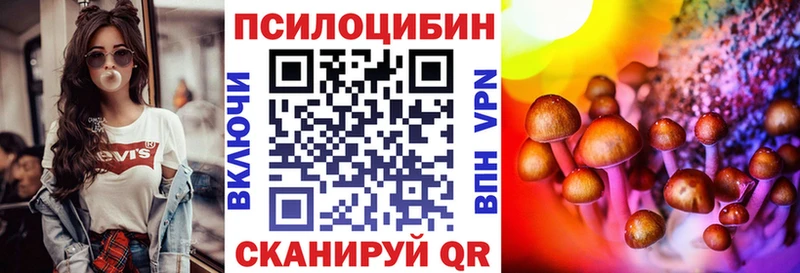 Псилоцибиновые грибы Psilocybe  цены   Северобайкальск 